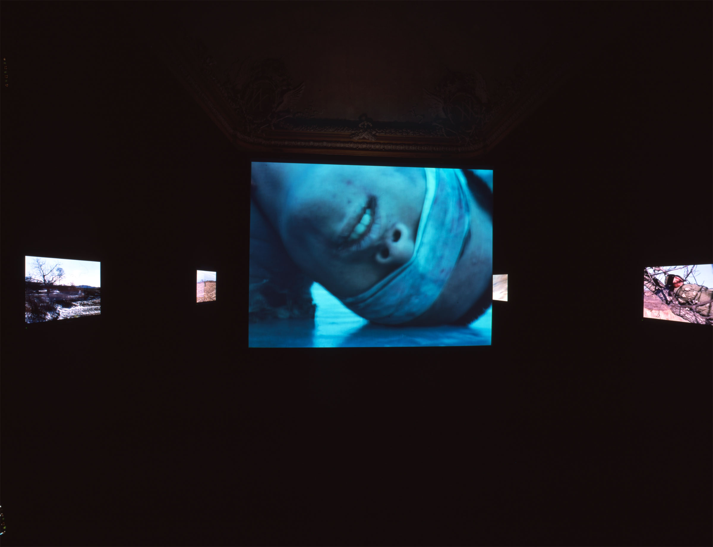 Yang Fudong, Dengdai she de suxing / Waiting for the Snake to Wake Up, 2005
